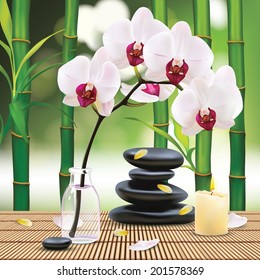 Vector Beautiful Spa Composition With Zen Stones and Orchid, Illustration, Wallpaper for Family, Health-care, People 