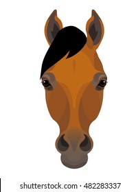 Vector beautiful thoroughbred horse portrait, farm animal icon, equestrian design element