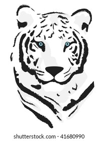 Vector beautiful tiger