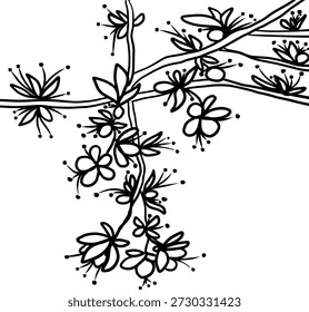 Vector hermosos árboles con flores y hojas. Para la primavera. Puede colorearlo con cualquier pintura o lápiz. Líneas negras sobre un fondo blanco. Puede usar un póster, cuadernos, cuadernos o una postal.