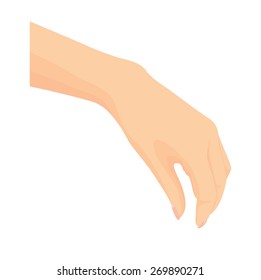 Vector of beautiful Woman's hand isolated on white background