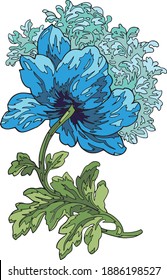 Vector beautifully drawn stylized flower with leaves and stem. Hand drawn isolated peony on white background. Vintage style. Vector stock. 