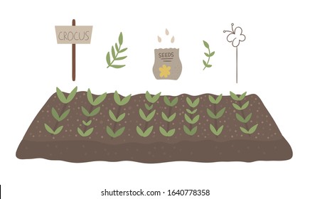 Vector bed with sprouted plants, pack with seeds, sign table isolated on white background. Flat spring garden illustration. Gardening icon