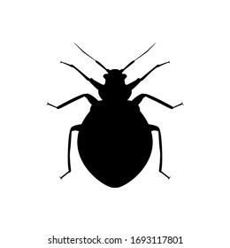 Vector Bedbug Illustration. Bedbug Silhouette