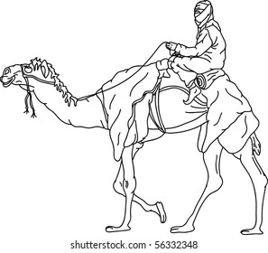 vector - bedouin riding a camel,isolated on background