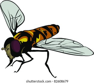 Vector Bee