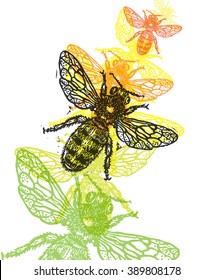 Vector Bee In Abstract Composition. Linocut Honeybee In Flight In Different Colors On White Background