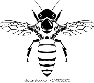 Vector of a bee in black