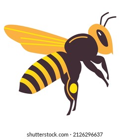 Vector bee with honey on paw isolated illustration
