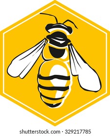 Vector bee and honeycombs, vector illustration of bee, icon.