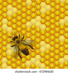 Vector bee and honeycombs texture background. For honey package, tag or wrapping.