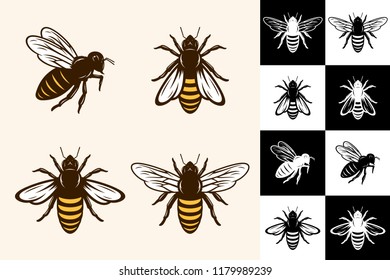 Vector bee icons collection on different backgrounds.