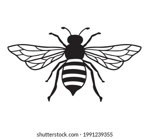 Vector Bee line icon illustration. Graphic logo of insect, simple doodle emblem. Hand drawn honeybee isolated on white background. Queen symbol outline design. Minimalist bug black art.