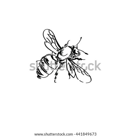 vector bee on white background