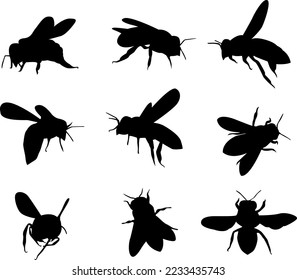 Vector bee silhouette on isolated white background