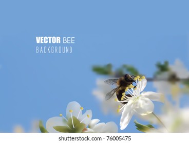 VECTOR BEE WITH SPRING Blossom FLOWERS