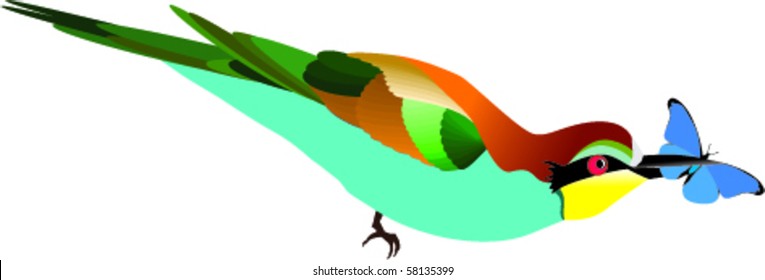 vector bee-eater