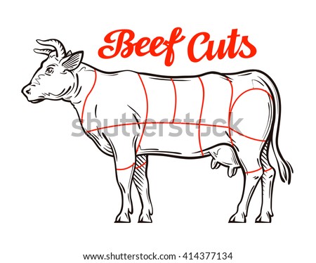 Butcher Meat Chart