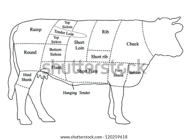 Vector Beef Cuts Chart Cow Stock Vector (Royalty Free) 120259618