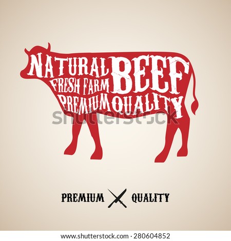 Vector Beef Cuts Diagram in vintage style 