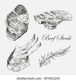 vector beef steak meat hand drawing with pepper and rosemary. detailed ink food illustration