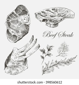 vector beef steak meat hand drawing with pepper and rosemary. detailed ink food illustration