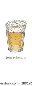 Vector Beer in American Pint glass. Hand drawn isolated illustration