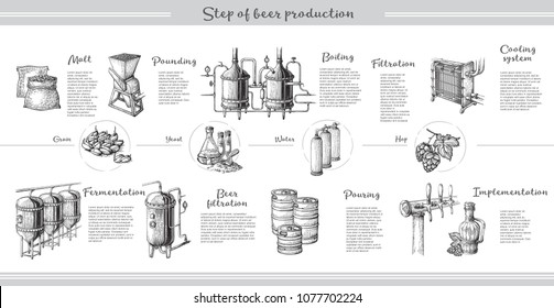 Vector beer infographics with illustrations of brewery process. Ale producing design. Hand sketched lager production scheme.