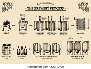 Vector beer infographics with illustrations of brewery process and equipment. Ale producing design. Hand sketched lager production scheme.