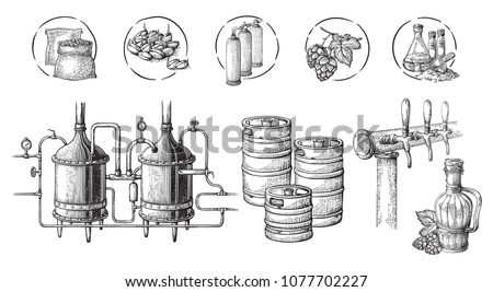Vector beer infographics with illustrations of brewery process. Ale producing design. Hand sketched lager production scheme.