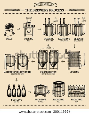 Vector beer infographics with illustrations of brewery process and equipment. Ale producing design. Hand sketched lager production scheme.