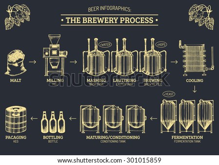 Vector beer infographics with illustrations of brewery process and equipment. Ale producing design. Lager production hand sketched scheme.