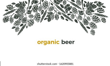 Vector beer ingredient of twig of hop, wheat grain. Pattern with hand drawn graphic illustration, border. Alcohol craft background, art template. Organic natural beverage
