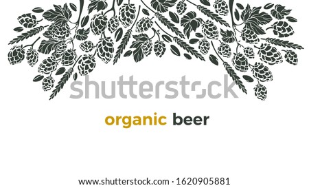 Vector beer ingredient of twig of hop, wheat grain. Pattern with hand drawn graphic illustration, border. Alcohol craft background, art template. Organic natural beverage
