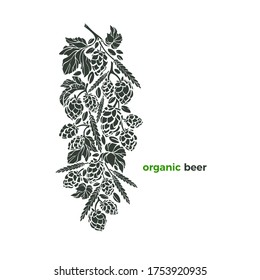 Vektorbier-Muster. Naturzweig aus Hopfen, Weizenkorn, Mais, Samen. Textur-Tintengrafik auf weißem Hintergrund. Symbol für Kunsthandwerk. Bio-Alkoholgetränk
