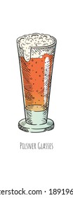 Vector Beer in Pilsner Glasses. Hand drawn isolated illustration 