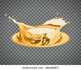 Vector beer splash isolated on light background