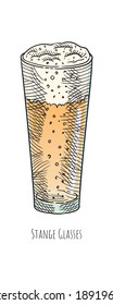 Vector Beer in Stange Glasses. Hand drawn isolated illustration 