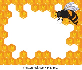 the vector bees and honeycomb with honey