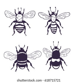 Vector bees set illustration. Hand drawn ink sketch with bumblebee insect. Wild animal black outlines drawing isolated on white