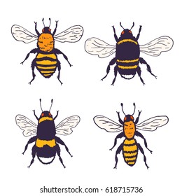 Vector bees set illustration. Hand drawn ink sketch with bumblebee insect. Wild animal drawing isolated on white