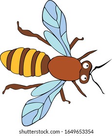Vector of bees, this animal that produces honey