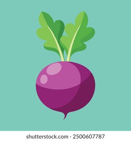 vector Beet, beetroot vegetable or radish with leaves.