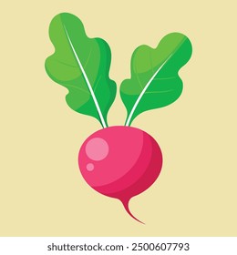 vector Beet, beetroot vegetable or radish with leaves.