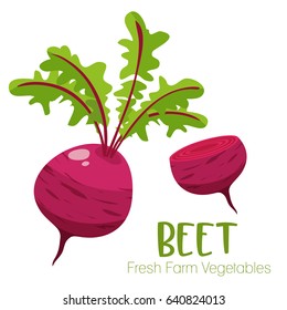 Vector beet isolated on white background.Vegetable illustration for farm market menu. Healthy food design poster. Cartoon style vector