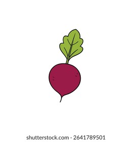 a vector beet with leaf veins cleanly drawn no te