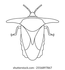 Vector Beetle Bug Insect Cartoon Illustration Isolated