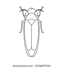 Vector Beetle Bug Insect Cartoon Illustration Isolated