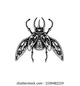 Vector Beetle horn tattoo style 