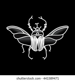 vector beetle icon for design